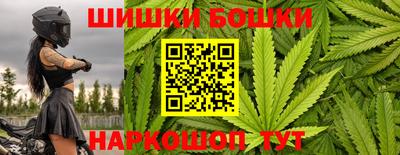 бошки Будённовск